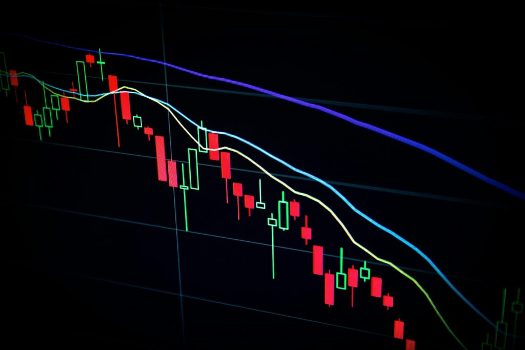 ETF 투자 실패 후기 차트