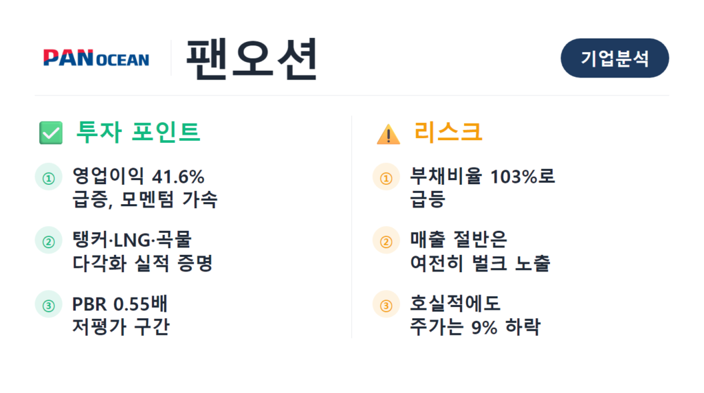 팬오션 기업분석 대표이미지 - 벌크선과 LNG선 사업 포트폴리오